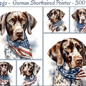 May include: A German Shorthaired Pointer dog wearing a red, white, and blue bandana with stars and stripes. The dog is looking directly at the viewer with a serious expression. The background is a white watercolor wash.