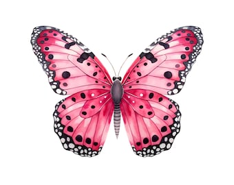 Clipart acquerello farfalla rosa: 16 file PNG (download digitale)