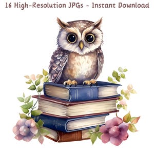 Clipart aquarelle hibou, hibou assis sur des livres avec des fleurs, 16 fichiers JPG pour le scrapbooking, projets scolaires et loisirs créatifs, fabrication de cartes, usage commercial
