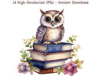 Watercolor Owl Clipart, Owl Sitting on Books with Flowers, 16 JPGs for Scrapbooking, School Projects & Crafts, Card Making, Commercial Use