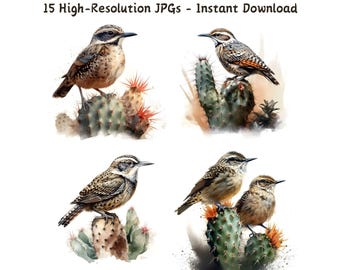 Watercolor Cactus Wren Clipart: Southwest Bird Art (Digital Download)