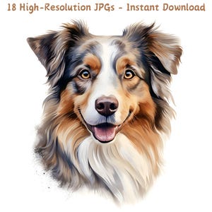 Aquarell Australian Shepherd Clipart, süße Aussie Hund digitale Kunst, Bauernhaus Hund Illustration, 18 JPG Dateien, kommerzielle Nutzung