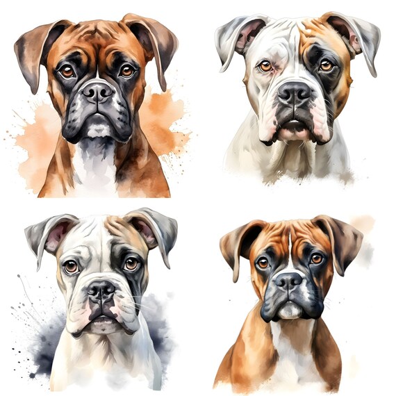 Cane Boxer Giocattolo Cane In Pelle Fatto A ano Di Deru, Gerania