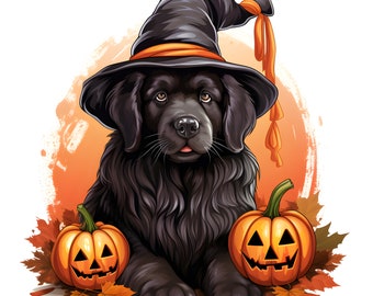 Peut inclure: Un chien noir portant un chapeau de sorcière avec un bandeau orange et un long ruban orange. Le chien est assis entre deux citrouilles orange en forme de jack-o'-lantern avec des visages sculptés.