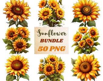 Watercolor Sunflower Clipart: 50 PNG Bundle (Digital Download)