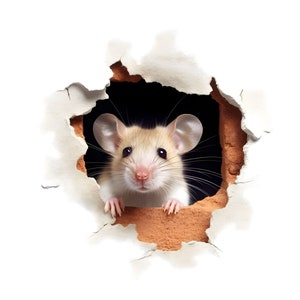 Clipart souris dans le trou de la souris, 14 fichiers JPG, clipart souris, clipart drôle, clipart pour autocollant, collage d'images, création numérique, usage commercial