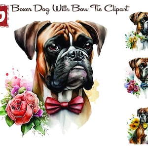 Set di 10 simpatici cani boxer con papillon e fiori clipart, clipart di cani boxer ad acquerello, download digitale di immagini di collage di carta, JPG