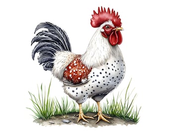 Watercolor Rooster Clipart, Chicken Illustration (Digital Download)