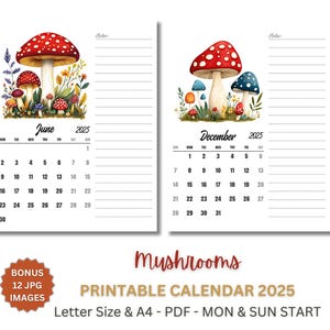 Planificador mensual imprimible 2025 con hongos, tamaño A4 y carta (EE. UU.), inicio lunes y domingo, calendario en PDF y JPG, descarga digital.