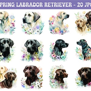 Spring Labrador Retriever Clipart, 20 JPGs, Watercolor Labrador, Watercolor Clipart, Labrador Wall Art, Dog Portrait, Commercial Use