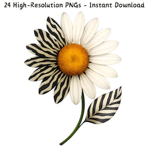 Zebra Print Daisy Clipart, 24 PNG Aquarell Blumen Animal Print Design, Sublimation Blumen Boho Clip Art, digitaler Download