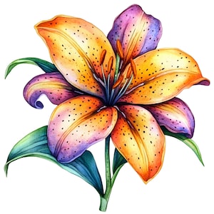 Clipart de lírio aquarela, 12 PNG, sublimação de flores, ilustração de lírio, criação de cartões, scrapbooking, artesanato em papel, download digital
