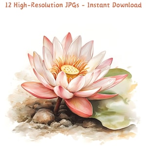 Aquarell Lotus Blume Clipart, 12 JPG Florale digitale Kunst für Scrapbooking, Sublimation & Heimwerken, Kartenherstellung, Junk-Journal, kommerziell
