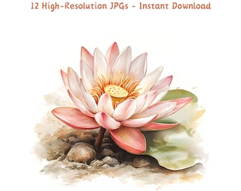 Clipart di fiori di loto ad acquerello: 12 JPG floreali (download digitale)