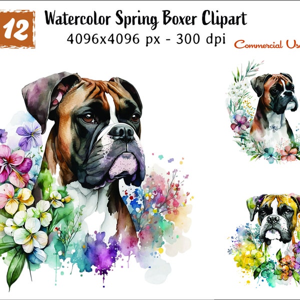 Set Of 12 Boxer Clipart, Spring Boxer Dog With Flowers, Watercolor Clipart, Digital Download, Paper Crafting Collage Images, Commercial Use