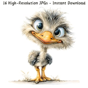 Clipart de acuarela de avestruz divertido y caprichoso con ojos grandes, ilustración de pájaro peculiar, 16 archivos JPG de animales adorables, creación de tarjetas, descarga instantánea