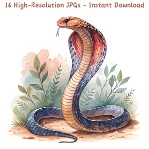 Aquarel majestueuze cobra slang clipart, slang Wildlife illustratie, 16 JPG, reptiel illustraties voor ambacht, digitale download, commercieel gebruik