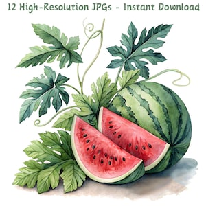 Clipart de sandía en acuarela, 12 archivos JPG, clipart de fruta de verano, arte imprimible de sandía, ilustración de fruta fresca, creación de tarjetas