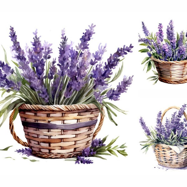 Watercolor Lavender Clipart, 16 JPGs, Lavender Basket, Flower Clipart, Digital Download, Digital Paper Craft, Junk Journals, Commercial Use