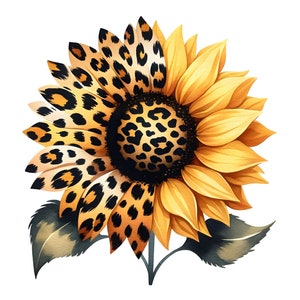 Aquarelle léopard tournesols Clipart, 12 PNG, sublimation tournesol, créations numériques en papier, scrapbooking, fabrication de cartes, usage Commercial