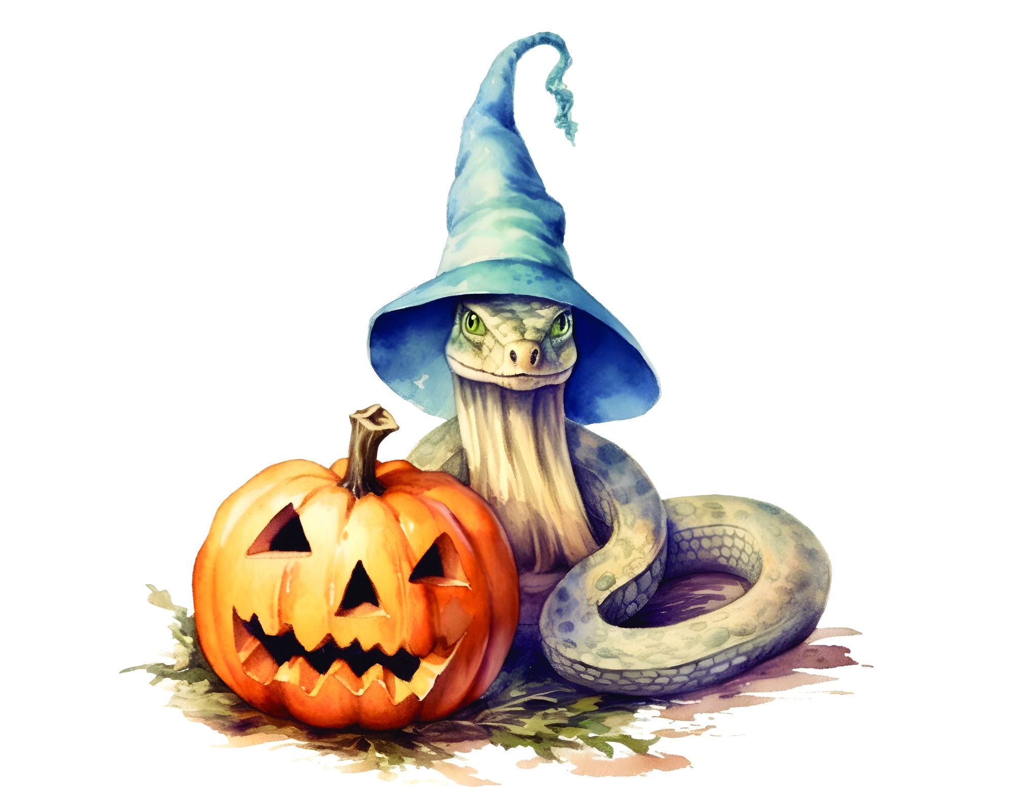 【うどんまにあ様用】GOATSNAKE / BURNING WITCH うどんまにあ様用】GOATSNAKE / BURNING WITCH うどんまにあ様用