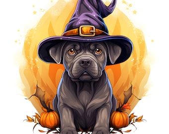 May include: A black Labrador Retriever puppy wearing a purple witch hat with a black brim and a gold buckle. The puppy is sitting on a yellow and orange background with two orange pumpkins.