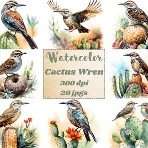 Clipart troglodyte des cactus, 20 fichiers JPG de haute qualité, clipart oiseau troglodyte aquarelle, créations numériques sur papier, scrapbooking, fabrication de cartes, usage commercial
