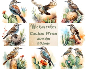 Watercolor Cactus Wren Clipart, Bird Art, Commercial Use (20 JPGs)
