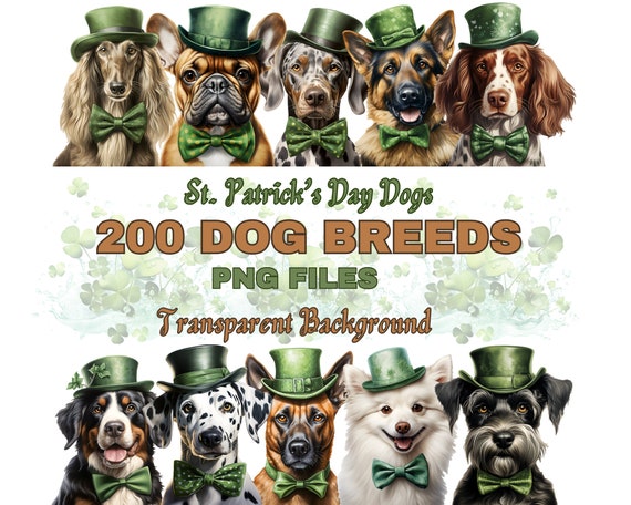 I So Irish Right Whippet Dog Lover St. Patrick's Day Gifts T-Shirt I So Irish Right Whippet Dog Lover St. Patrick's Day Gifts T-Shirt