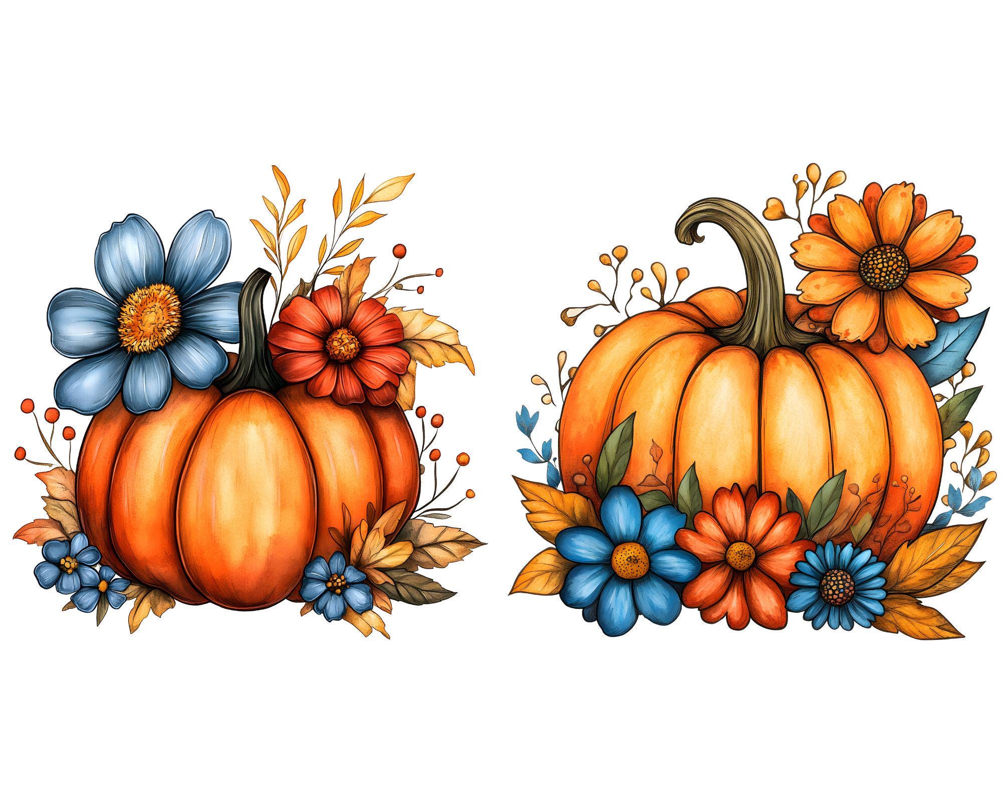 Watercolor Pumpkin Clipart: Fall Floral Harvest Art (digital Download ...