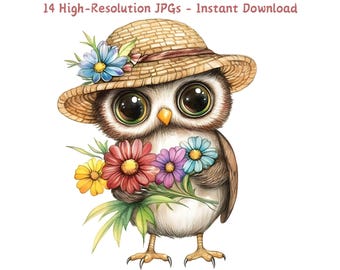 Watercolor Owl Clipart, Floral Owl Illustrations (Digital Download)