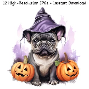 Aquarell Halloween Französische Bulldogge Clipart, süßer Hund mit Kürbis und Hexenhut, gruseliges Haustier, digitale Kunst, 12 JPG, kommerzielle Nutzung