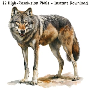 May include: A watercolor painting of a wolf standing on a rock. The wolf has brown, gray, and black fur. It is looking directly at the viewer with its mouth slightly open.