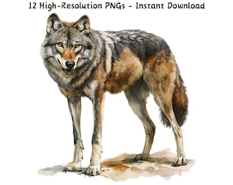 Vintage Watercolor Dire Wolf Clipart: 12 PNG Files (Digital Download)