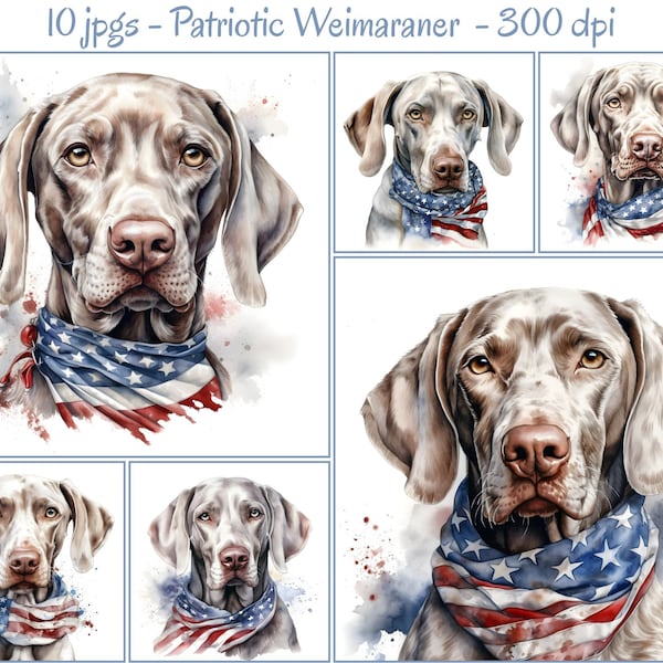 Patriotic Watercolor Weimaraner Clipart, 10 JPGs, 4th Of July Clipart, Paper Crafting, Scrapbook Images, Commercial Use