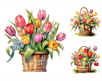Watercolor Tulip Basket Clipart: Spring Floral JPGs (Digital Download)