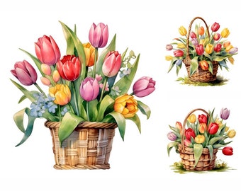 Watercolor Tulips Clipart, 18 High-Quality JPGs, Tulip Basket, Tulip Flowers, Floral Clipart, Flower Clipart, Spring Clipart, Commercial Use