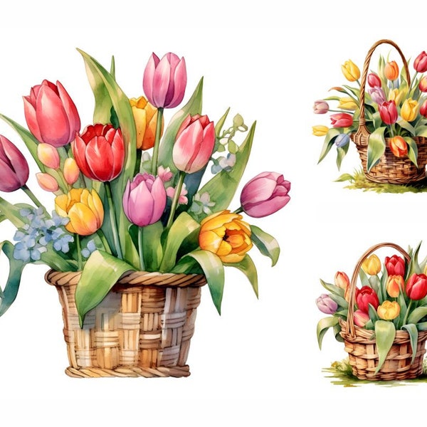 Watercolor Tulips Clipart, 18 High-Quality JPGs, Tulip Basket, Tulip Flowers, Floral Clipart, Flower Clipart, Spring Clipart, Commercial Use