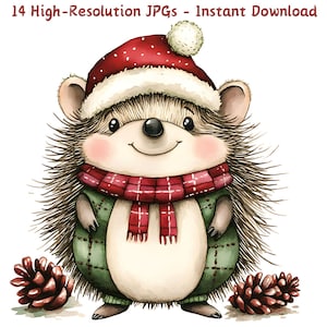 Clipart hérisson de Noël lunatique, animal mignon aquarelle bonnet de Noel, 14 illustrations d'animaux de vacances JPG, fabrication de cartes, téléchargement numérique