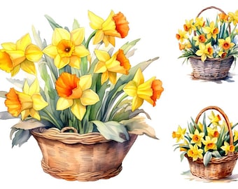 Watercolor Daffodils Clipart: Spring Flower Basket (JPGs, Commercial Use)