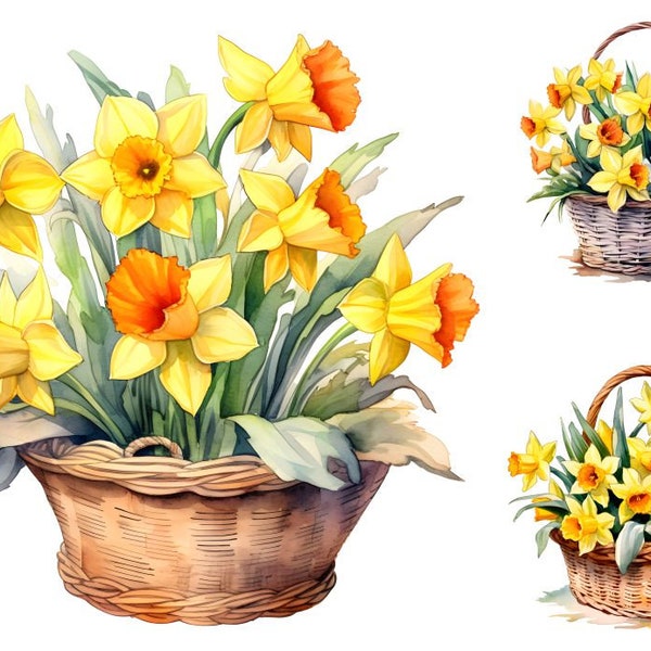 Aquarell Narzissen Clipart, 16 JPGs, Narzissen Blumen Clipart, Korb mit Narzissen, Frühlingsblumen, digitales Papier Handwerk, kommerzielle Nutzung