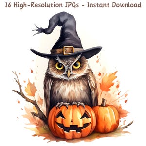 Clipart aquarelle hibou Halloween, effrayant chouette avec citrouille et chapeau de sorcière, 16 fichiers JPG, téléchargement numérique, usage commercial