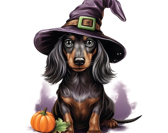 May include: A black and brown dachshund wearing a purple witch hat with a green buckle and a green brim. The dog is sitting with a small orange pumpkin in front of it.