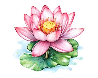 Conjunto de imágenes prediseñadas de flor de loto en acuarela: 16 gráficos PNG (descarga digital)