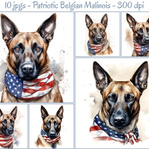 May include: A watercolour painting of a Belgian Malinois dog wearing a red, white and blue bandana with stars and stripes. The dog is looking directly at the viewer with a serious expression. The background is a light brown watercolour wash.