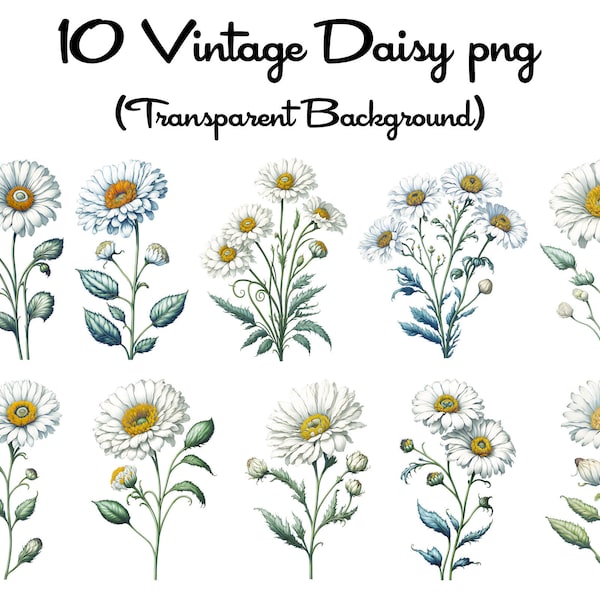 Daisy Clipart, 10 High Quality Daisy PNGs, Watercolor Flower Clipart, Watercolor Daisies, Digital Downloads, Flower Clipart, Commercial Use