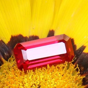 Könnte beinhalten: Ein rechteckiger, facettierter, roter Edelstein mit weißem Innenraum liegt auf einer gelben Blume mit braunen und schwarzen Akzenten. Der Edelstein ist der Mittelpunkt und zeigt seine leuchtende Farbe und seinen Schliff.