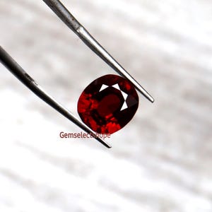 Puede incluir: Una gema facetada, de forma ovalada y de color rojo intenso, es sostenida por unas pinzas. La gema tiene un corte brillante con facetas visibles que reflejan la luz. El texto "Gemselectshope" es visible.