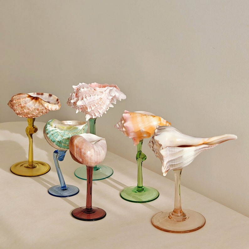 Set of 6 Shell Cup Set The Hottest Beach Wedding Gift Most Popular Bridesmaids Gift Modern Beach Seashell Martini Glasses Gift For Her image 1