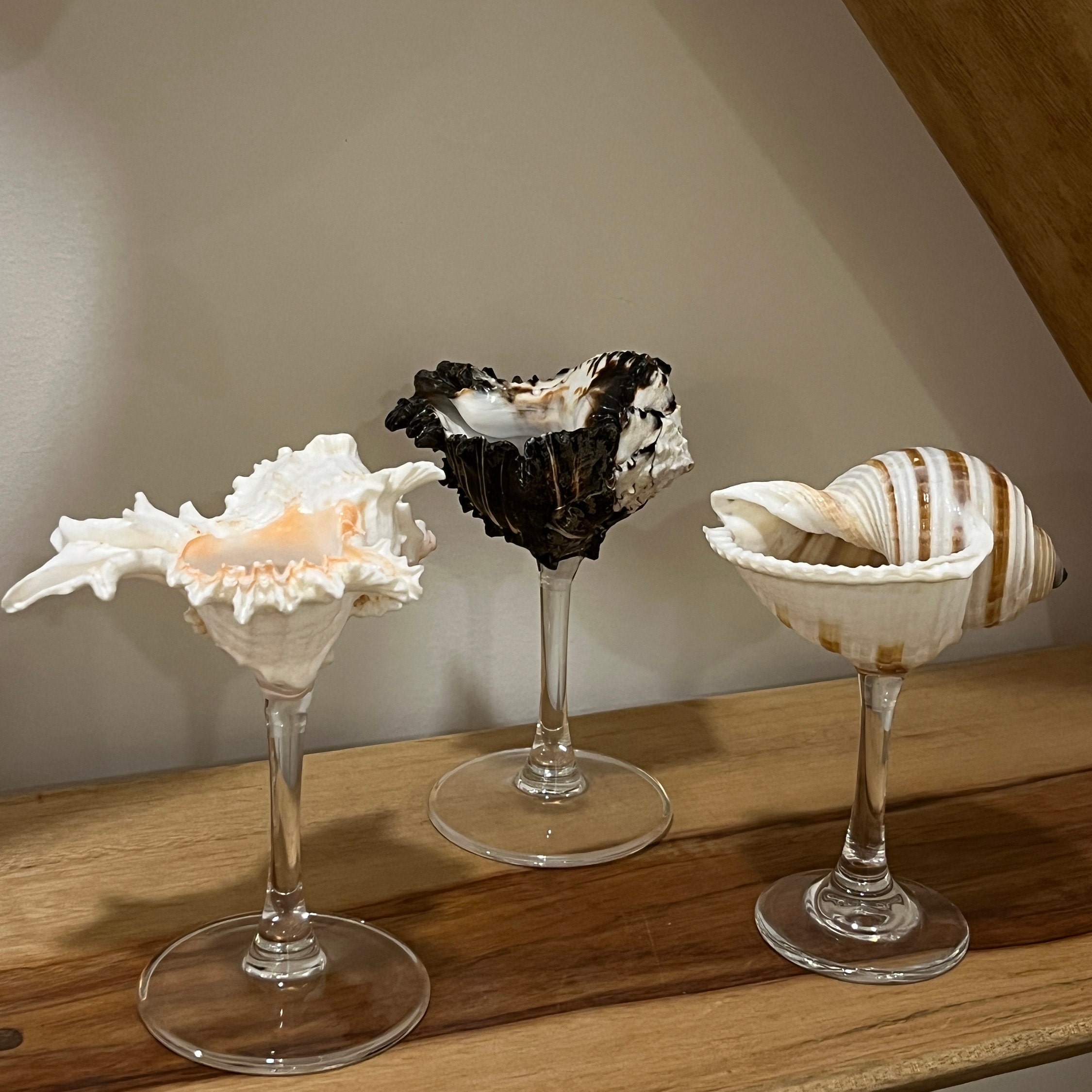 Seashell Wine Glasses Seashell Martini Glasses Birthday Etsy